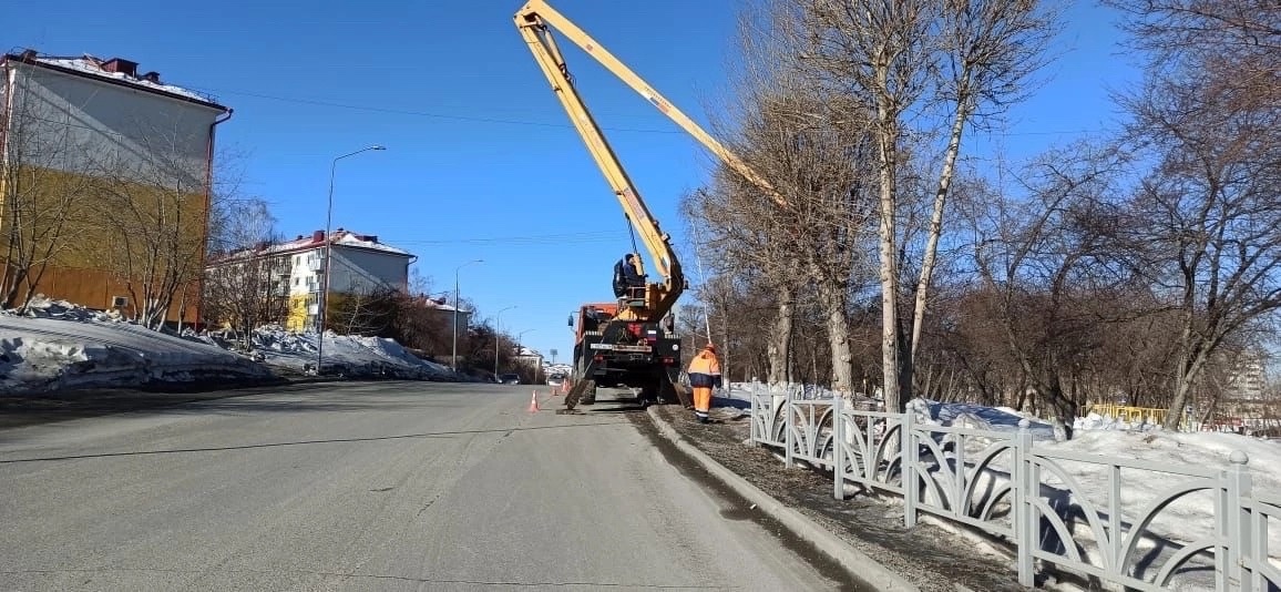 В Первоуральске приступили к работам по формовочной обрезке деревьев на городских территориях | Улучшение городского ландшафта: формовочная обрезка деревьев в Первоуральске