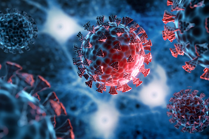 Россиянам грозит китайский вирус клещей | В Китае выявили новый тип вируса клещей Россиянам грозит китайский вирус клещей | В Китае выявили новый тип вируса клещей