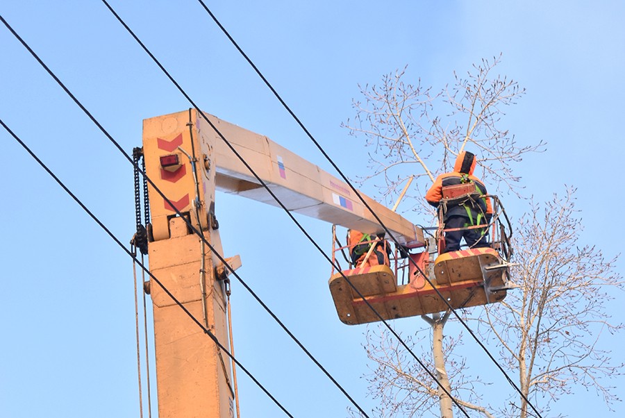 В Первоуральске заканчивают работы по кронированию деревьев В Первоуральске заканчивают работы по кронированию деревьев
