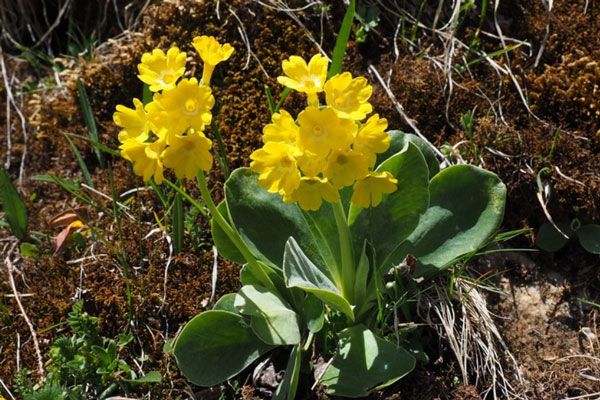 В марте жители Свердловской области отдохнут три дня подряд с 7 по 9 марта | Трёхдневные выходные в Свердловской области с 7 по 9 марта 2026 года