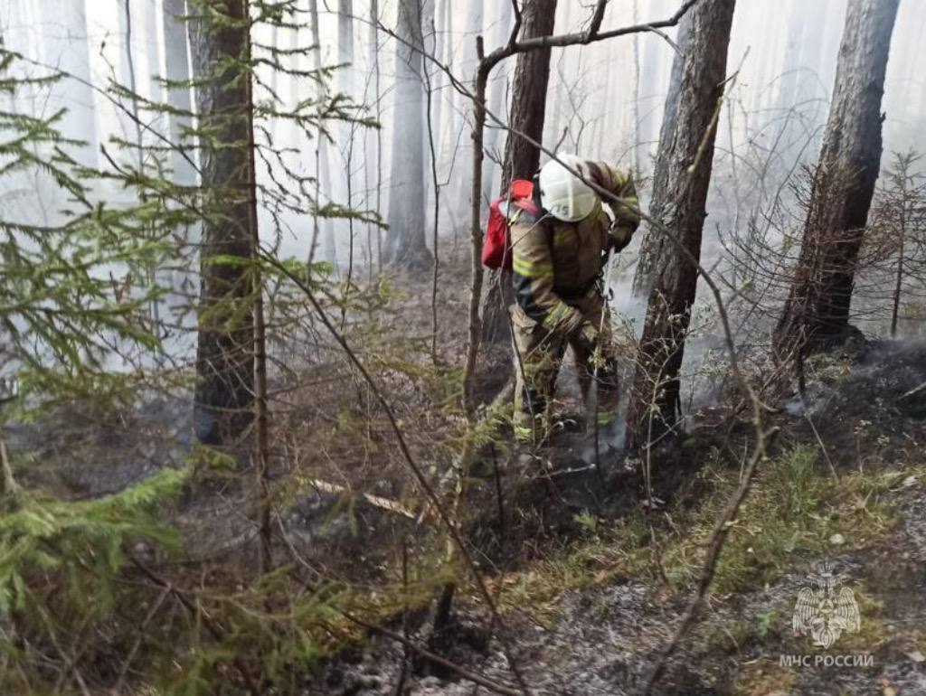 Под Первоуральском действует крупный природный пожар