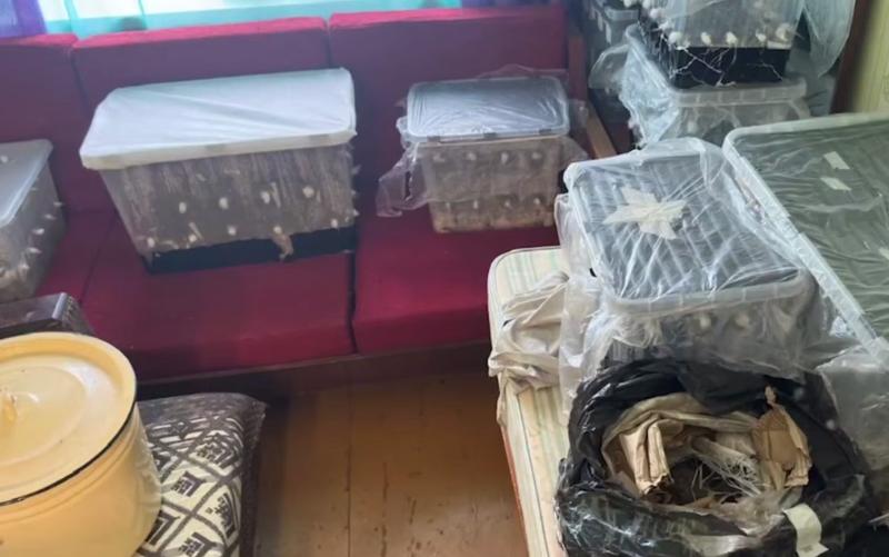 Конфеты с наркотиками в форме сердец продавали двое свердловчан: «кондитеров» отправили в СИЗО | В Свердловской области накрыли нарколабораторию под видом кондитерской