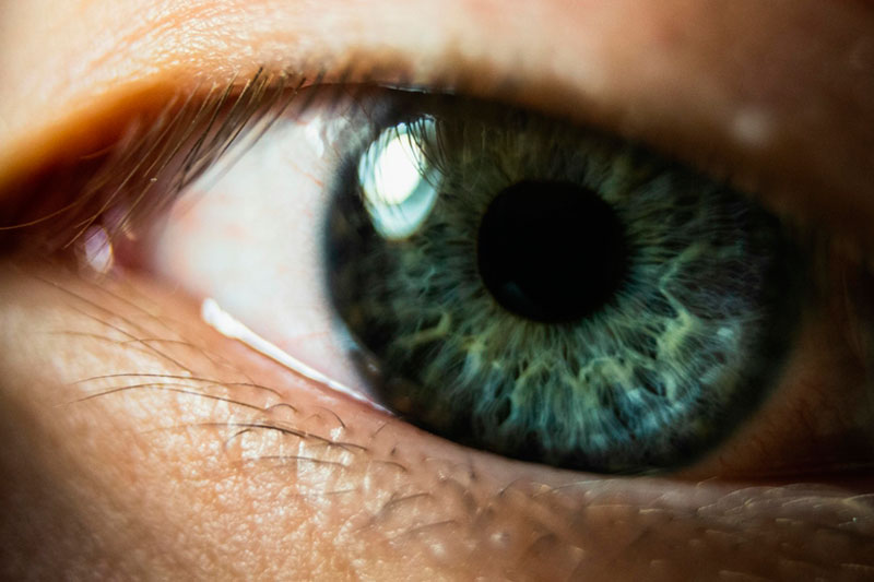 Ученые нашли способ предотвращения дегенерации сетчатки глаза | Американские ученые выяснили, как остановить развитие дегенерации сетчатки глаза