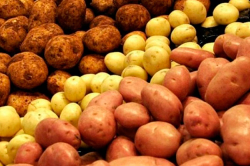Цены на картофель снизятся в июне: министр сельского хозяйства прокомментировала ситуацию на рынке | Министр сельского хозяйства объяснила, почему подорожал картофель 