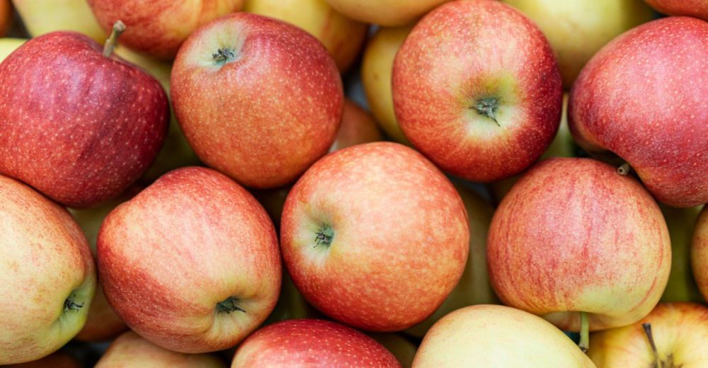 Консервированный компот — отдельное блюдо или ингредиент: что говорит ГОСТ | Длительное кипячение разрушает полезные свойства и ухудшает цвет фруктов Консервированный компот — отдельное блюдо или ингредиент: что говорит ГОСТ | Длительное кипячение разрушает полезные свойства и ухудшает цвет фруктов