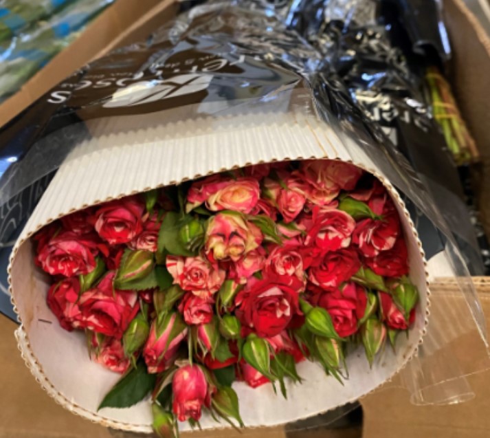 В Свердловской области уничтожили 220 роз из Кении из-за карантинного вредителя | На Урале предотвратили ввоз более 200 зараженных роз из Кении В Свердловской области уничтожили 220 роз из Кении из-за карантинного вредителя | На Урале предотвратили ввоз более 200 зараженных роз из Кении