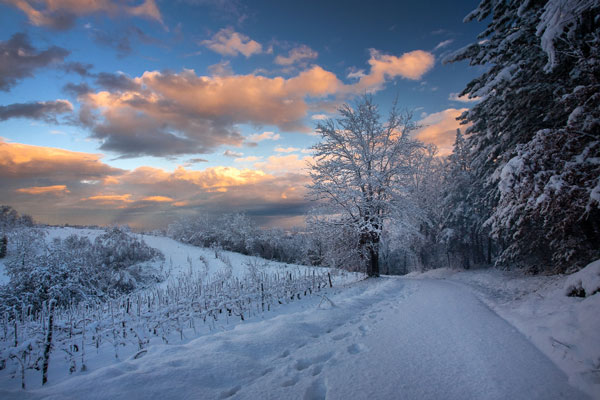 Управление снегоходами и квадроциклами: новые правила для российских водителей