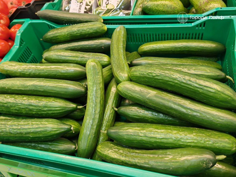 Больше никаких кривых огурцов: секрет идеального урожая из собственного семенника Больше никаких кривых огурцов: секрет идеального урожая из собственного семенника