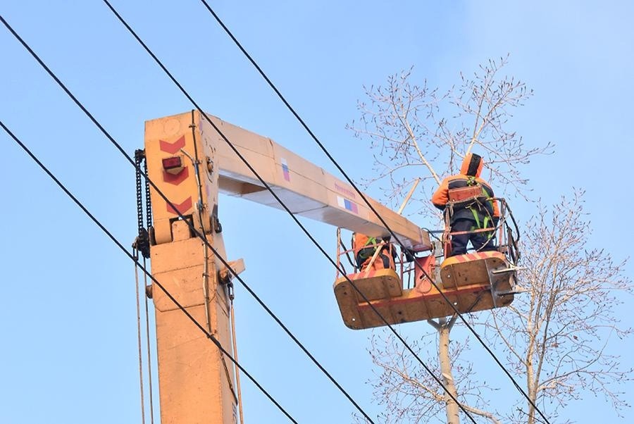 В Первоуральском городском округе вырубили 158 деревьев 