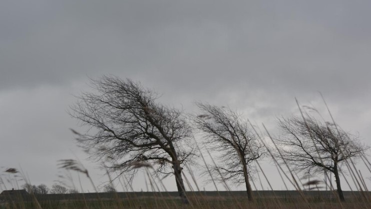 В Первоуральске объявили штормовое предупреждение 5 апреля: ожидаются сильный ветер и осадки | МЧС объявило штормовое предупреждение в Свердловской области В Первоуральске объявили штормовое предупреждение 5 апреля: ожидаются сильный ветер и осадки | МЧС объявило штормовое предупреждение в Свердловской области