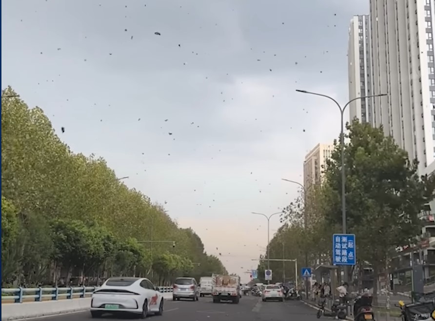 Шторм в Китае разнес трусы тысячи местных жителей | В Китае искусственный шторм разнес трусы местных жителей