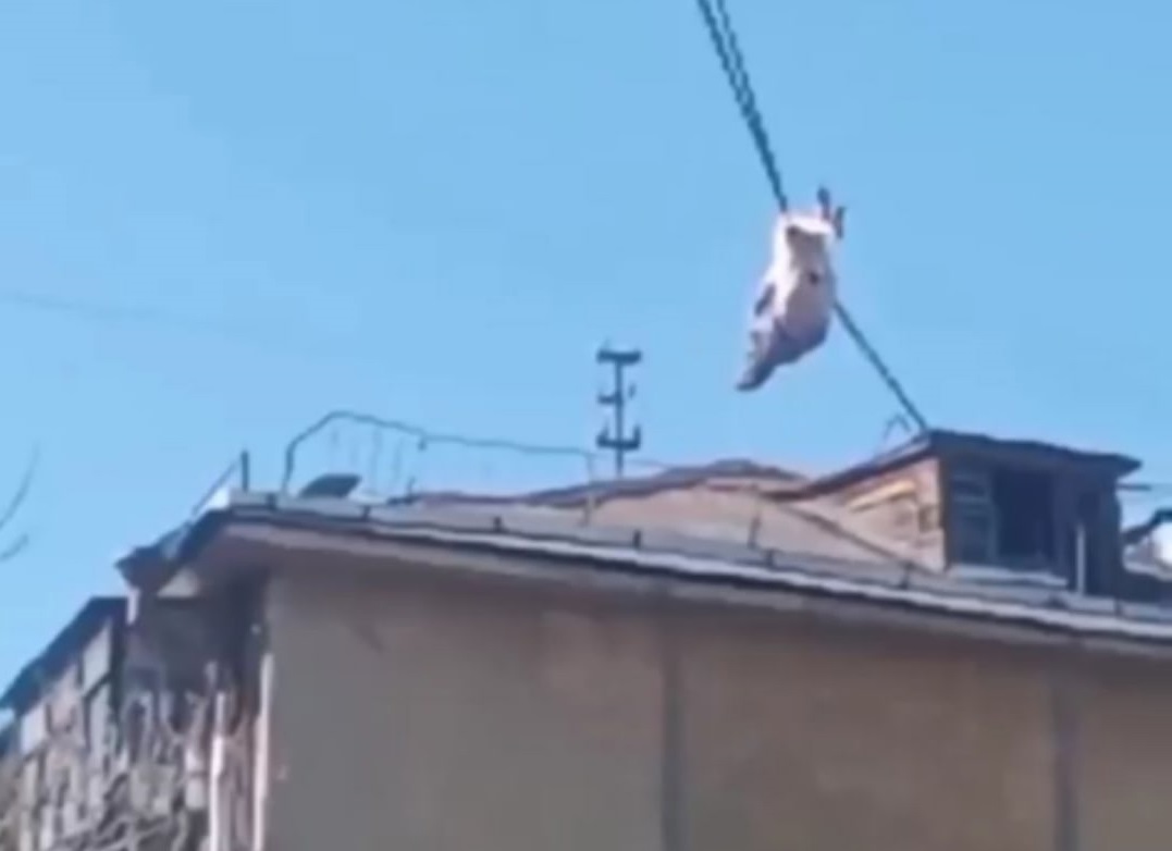 В Первоуральске женщина упала с пятого этажа, карабкаясь по проводам