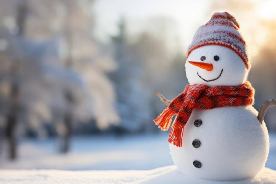 Как сбросить лишние килограммы после праздников: специалисты посоветовали слепить снеговика | Уральские медики: лепка снеговика поможет сжечь до 300 калорий за час