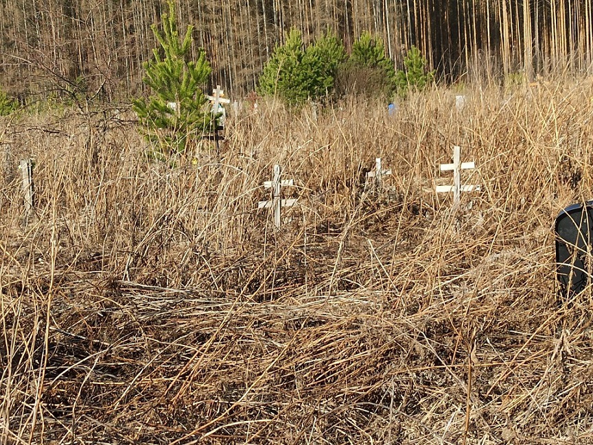 На Билимбаевском кладбище часть могил оказалась в зарослях