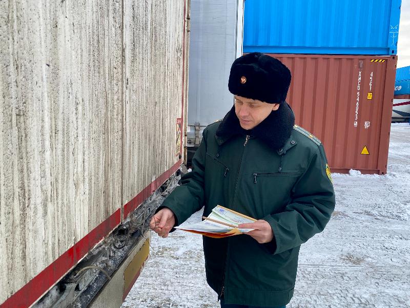 Для свердловчан из Китая завезли более 50 тонн товаров для отдыха | Уральские таможенники оформили ввоз 50 тонн товаров для сада и отдыха Для свердловчан из Китая завезли более 50 тонн товаров для отдыха | Уральские таможенники оформили ввоз 50 тонн товаров для сада и отдыха