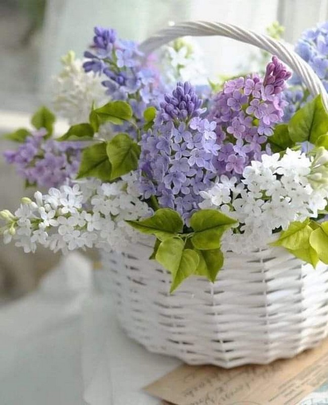 Летние Цветы: Вдохновение и Красота | Лето — это время, когда природа щедро одаривает нас своими яркими цветами и ароматами