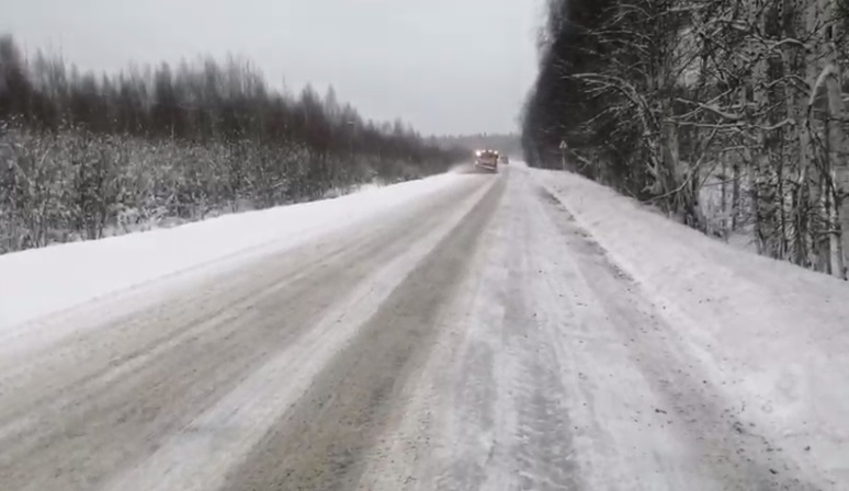 В Свердловской области за cутки выпало восемь сантиметров мокрого снега