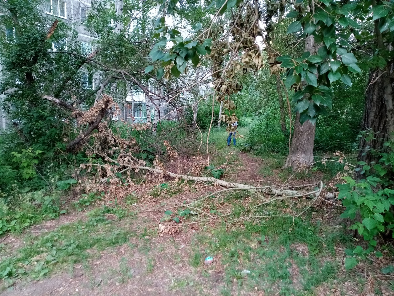 Жители Первоуральска жалуются на неухоженные дворы Жители Первоуральска жалуются на неухоженные дворы