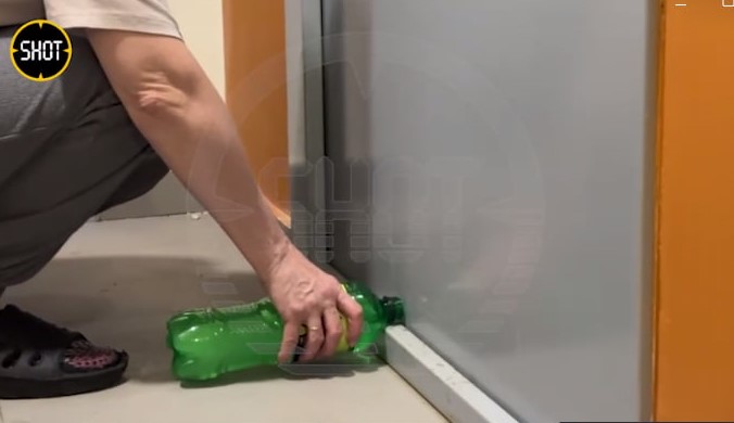 В Подмосковье собаку на несколько дней оставили одну в квартире В Подмосковье собаку на несколько дней оставили одну в квартире