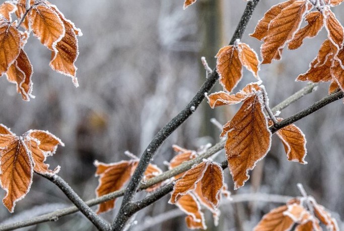 В пятницу Свердловскую область ожидает небольшое похолодание | В Свердловской области температура будет чуть ниже нормы
