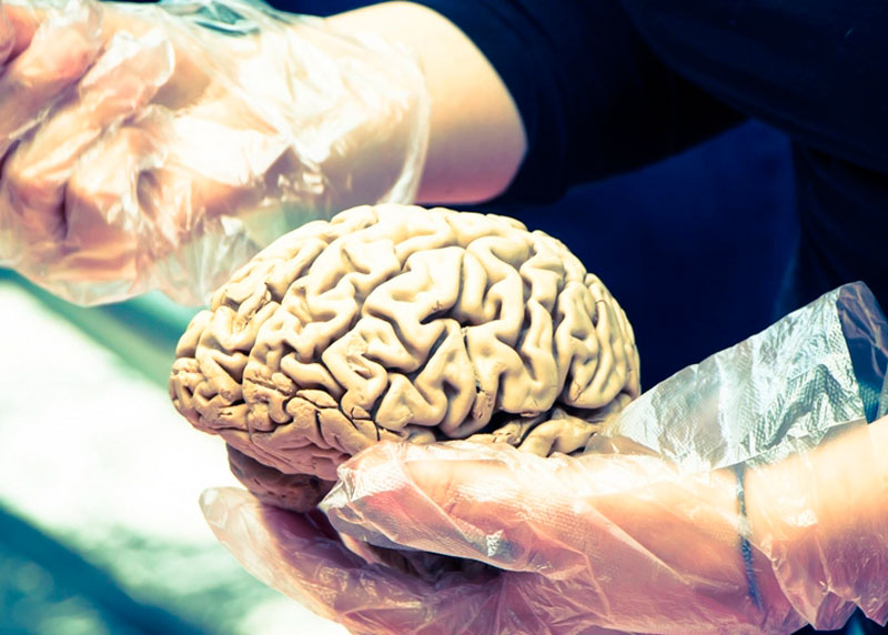 Врач рассказал, как распознать менингит | Врач Гальперин: менингит без специфического лечения грозит летальным исходом