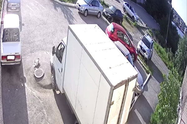 В Первоуральске с балкона седьмого этажа выпала собака В Первоуральске с балкона седьмого этажа выпала собака