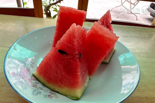 На полках свердловских магазинов будут лежать более 16 тонн арбузов из Казахстана | Первые арбузы из Казахстана прибыли в Свердловскую область