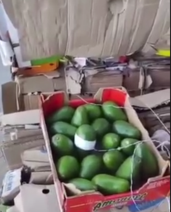 На Урале продуктовый магазин оцепили из-за «заминированных» авокадо | На Урале продуктовый магазин оцепили из-за «заминированных» авокадо На Урале продуктовый магазин оцепили из-за «заминированных» авокадо | На Урале продуктовый магазин оцепили из-за «заминированных» авокадо