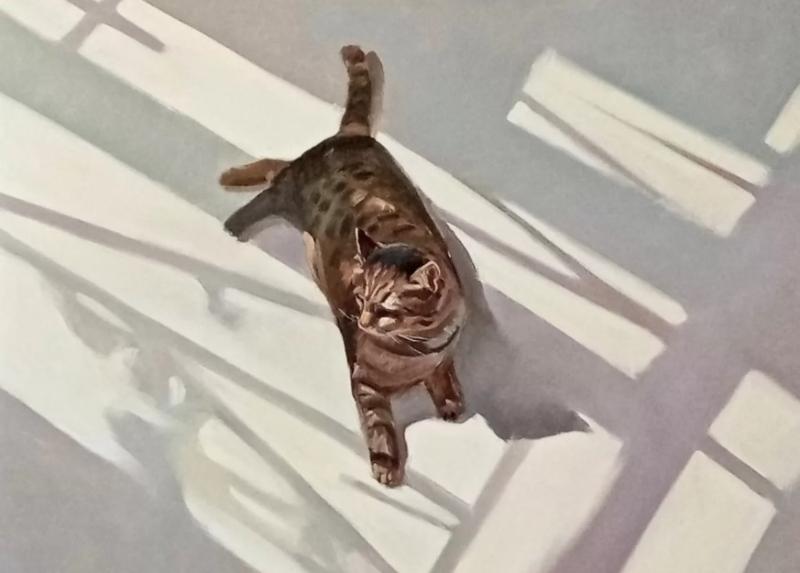 Выставка с котиками и театральные представления: куда можно сходить в Первоуральске 3 и 4 мая | Куда сходить в Первоуральске на выходных: подборка событий  