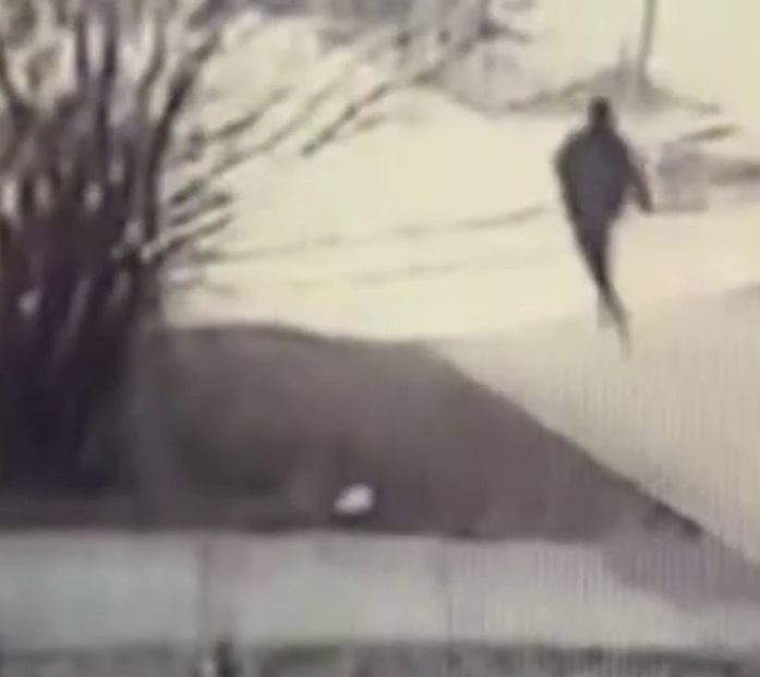 Камеры запечатлели момент побега рецидивиста из первоуральского суда Камеры запечатлели момент побега рецидивиста из первоуральского суда