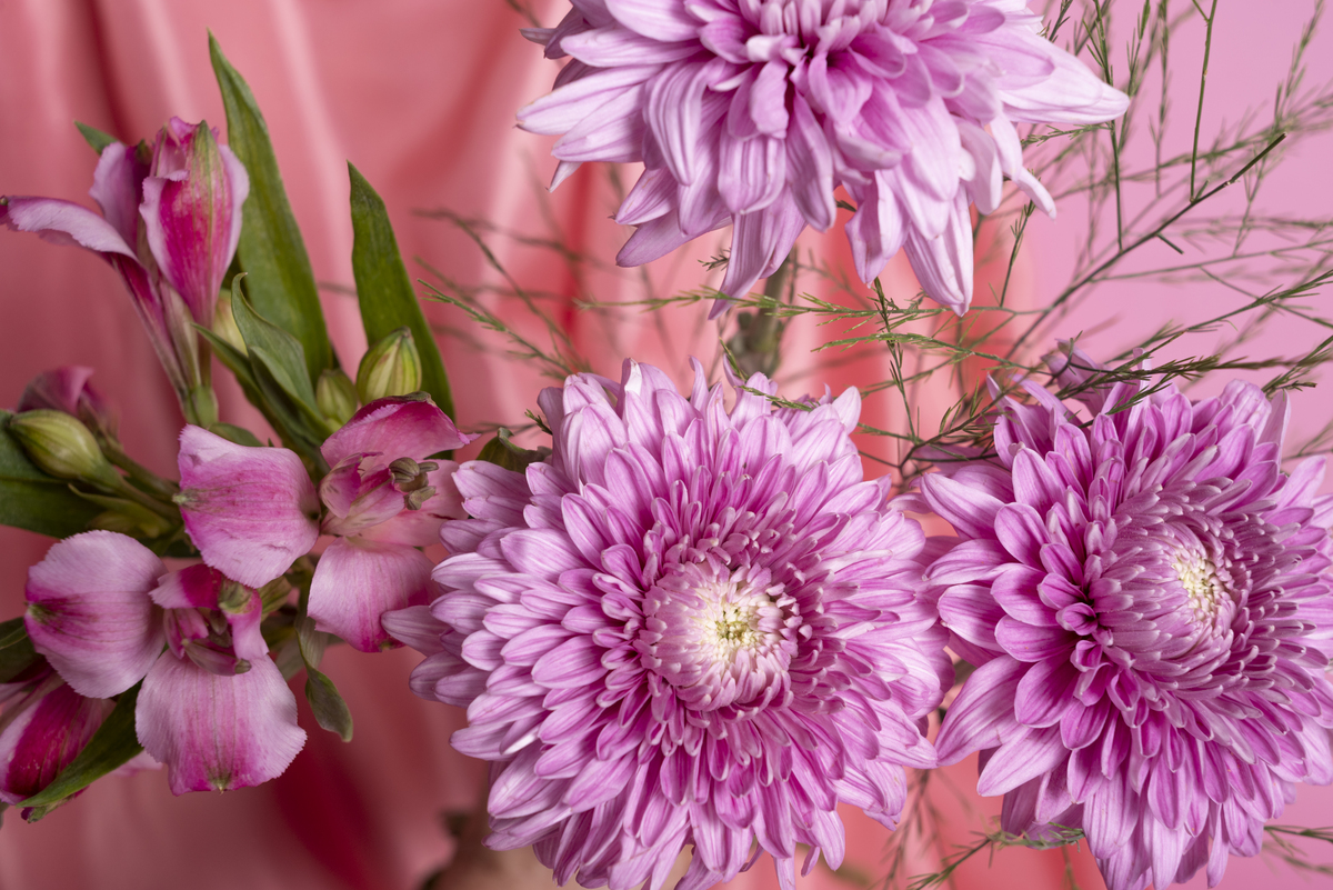 Букет завял через пару дней? Добавьте 1 ч.л. в воду — и цветы простоят весь март: секрет из аптечки Букет завял через пару дней? Добавьте 1 ч.л. в воду — и цветы простоят весь март: секрет из аптечки