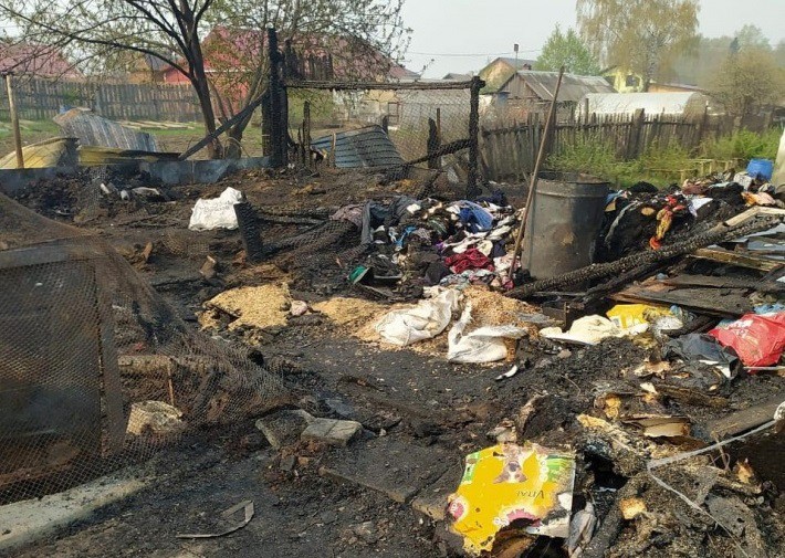 Задохнулись 30 собак-инвалидов: в Билимбае сгорел приют для животных Задохнулись 30 собак-инвалидов: в Билимбае сгорел приют для животных