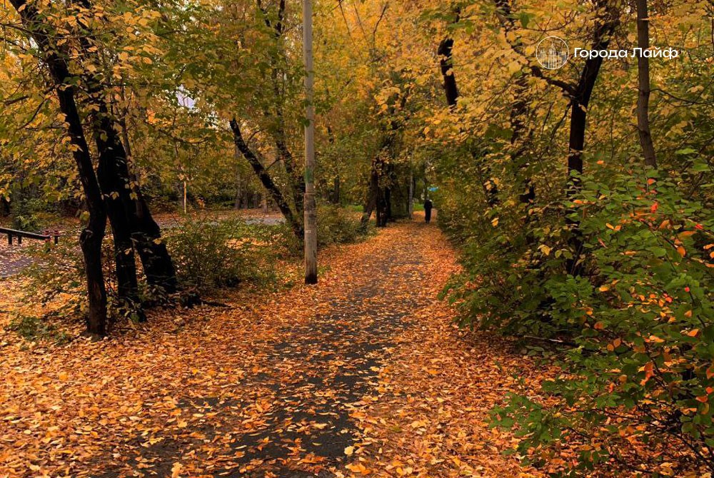 На Урале после заморозков придёт потепление: синоптики обещают до +8 градусов | В Свердловской области ожидается заметный дневной прогрев