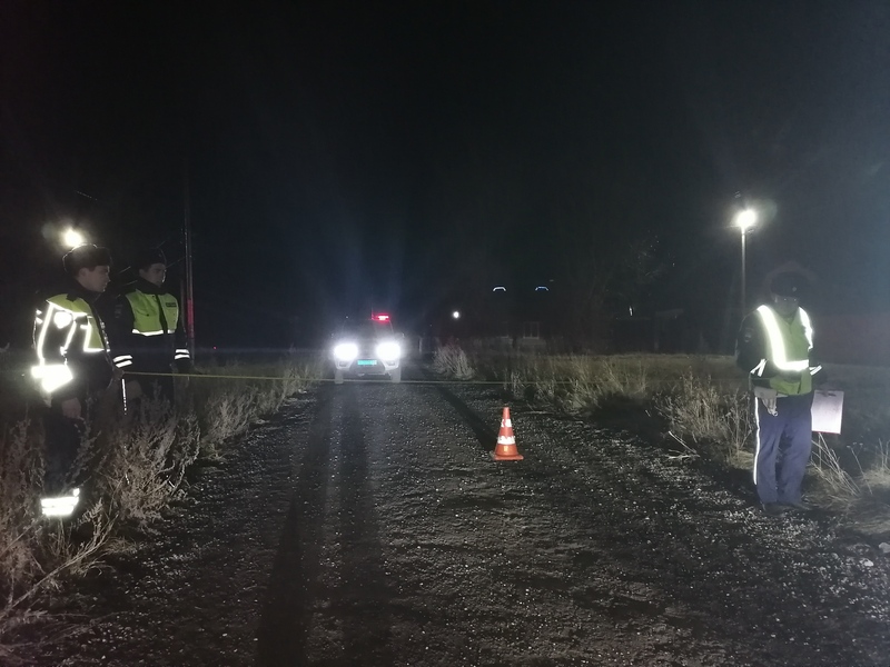 В Свердловской области водитель наехал на мужчину, лежавшего у дороги, и скрылся | В Свердловской области неизвестный водитель совершил наезд на пьяного пешехода