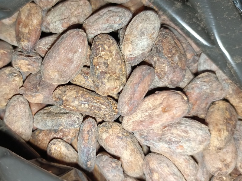 На Урал привезли тонну какао-бобов из Вьетнама | На Урал привезли тонну бобов для кофеен и ресторанов