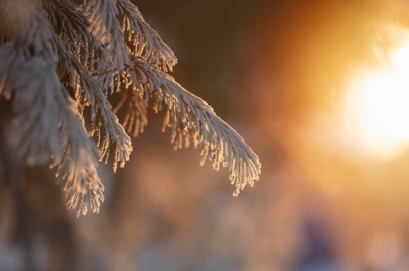 Через Свердловскую область пройдет теплый атмосферный фронт | Синоптик Пулин: к Уралу подойдет частный циклон «Heiko» Через Свердловскую область пройдет теплый атмосферный фронт | Синоптик Пулин: к Уралу подойдет частный циклон «Heiko»