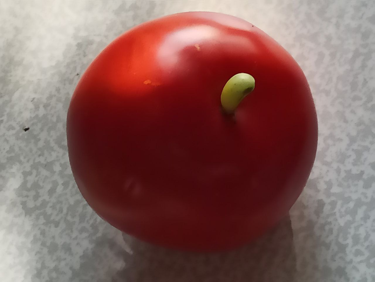 В окрестностях Первоуральска вырастили необычные помидоры 