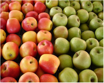 В Свердловскую область поступило 260 тонн яблок и 324 тысячи единиц посадочного материала | Свердловская область получила рекордную партию яблок и цветочного посадочного материала