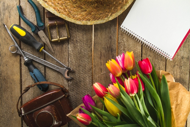 От бомбы в Чикаго до современных выходных: история и эволюция праздника 1 Мая | Как праздник 1 Мая приобрел современное значение