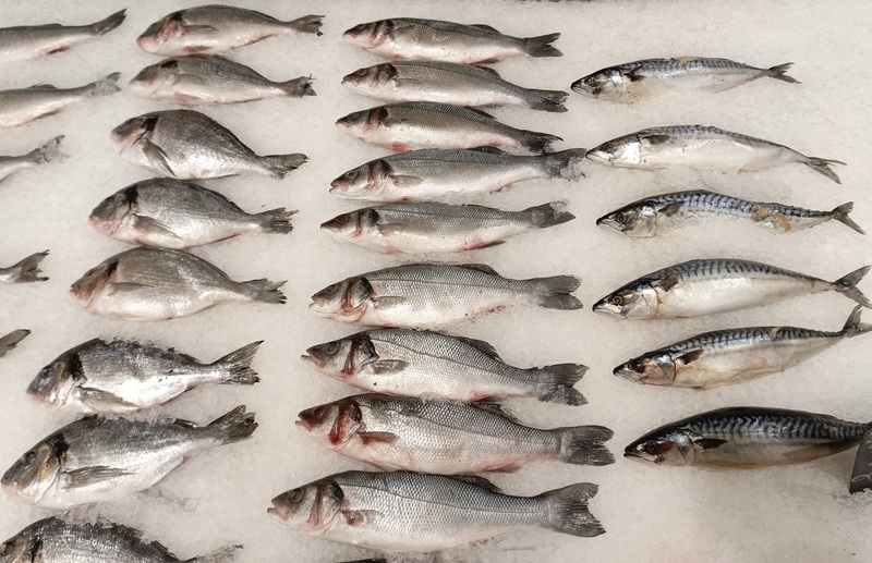 Зафиксирован рост экспорта морепродуктов с предприятий Урала | На Урале зафиксировали рост поставок морепродуктов в другие страны