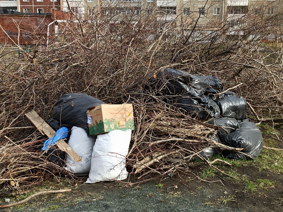 В центре Первоуральска во дворах образовалась свалка