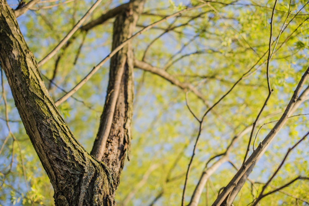Более 50 общественных пространств в Свердловской области будут благоустроены | Более 50 мест Свердловской области стали победителями голосования за объекты благоустройства