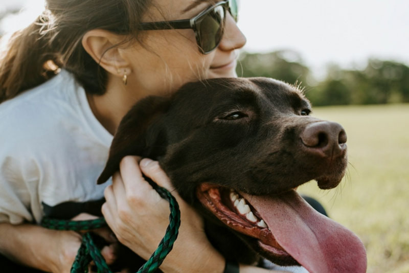 Первая неделя — умиление, а потом пришло осознание: собака привязала меня к дому крепче цепи | История одинокой девушки, которая пожалела, что завела собаку Первая неделя — умиление, а потом пришло осознание: собака привязала меня к дому крепче цепи | История одинокой девушки, которая пожалела, что завела собаку