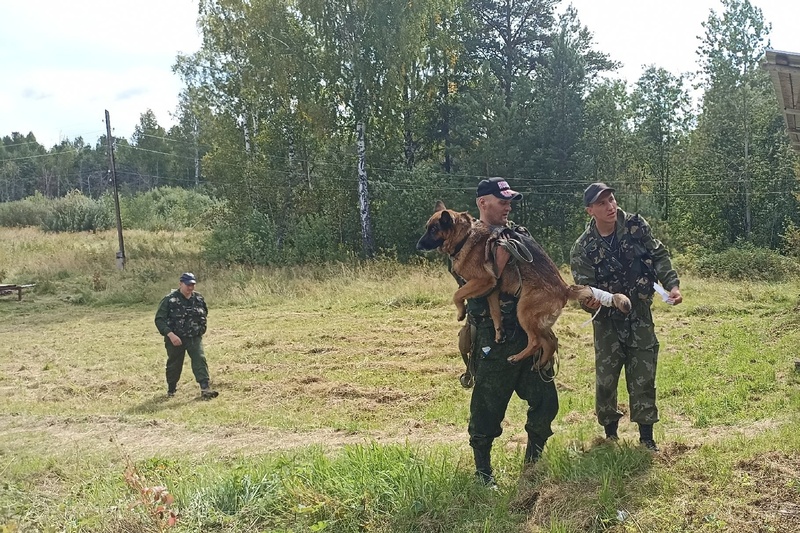 Первоуральским старшеклассникам рассказали о работе в уголовно-исправительной системе | Школьникам Первоуральска рассказали о карьере во ФСИН