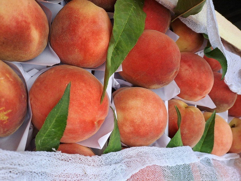 Уральская таможня приняла более 3 тысяч фруктов | Свердловские таможенники оформили персиков на 3 миллиона долларов