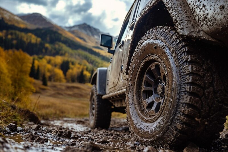 Россияне с водительскими правами категории B смогут арендовать болотоходы и багги | В России водителям категории B планируют разрешить арендовать болотоходы  