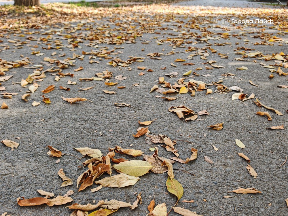 Погода в Первоуральске: плюсовая температура вернется уже на выходных | В Первоуральске на выходных ожидается плюсовая температура