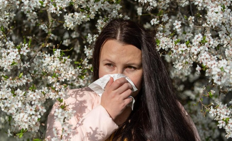 Специалист Пироговского университета дал советы по борьбе с аллергией на пыльцу | Эксперт рассказал, как справиться с аллергией от тополя в весенний период Специалист Пироговского университета дал советы по борьбе с аллергией на пыльцу | Эксперт рассказал, как справиться с аллергией от тополя в весенний период