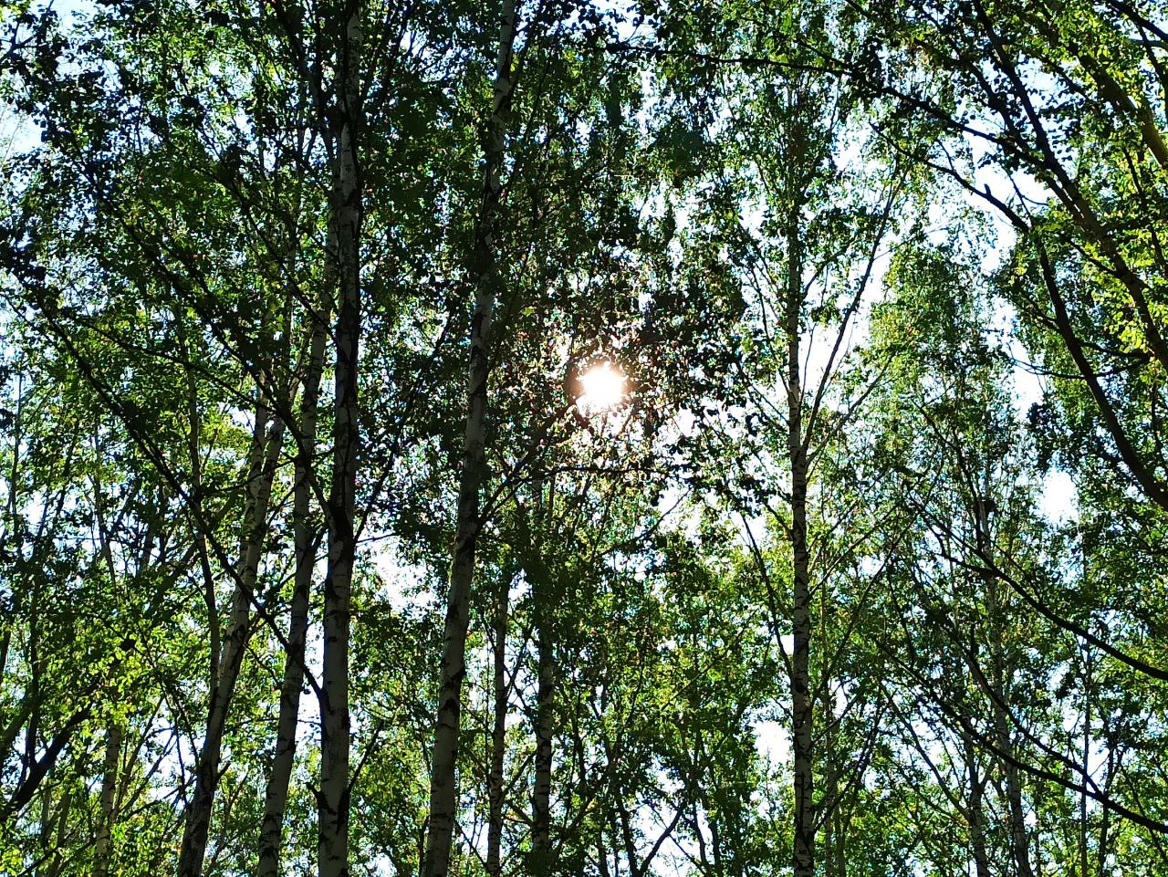 Первоуральцы пережили самую холодную ночь с начала лета Первоуральцы пережили самую холодную ночь с начала лета