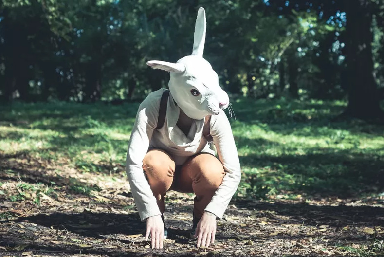 Депутат Бессараб о квадроберах: давайте запретим и феечек, ведь они тоже имеют что-то общее с крыльями стрекоз | Депутат Бессараб призвала защитить квадроберов